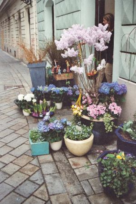 a-flower-shop