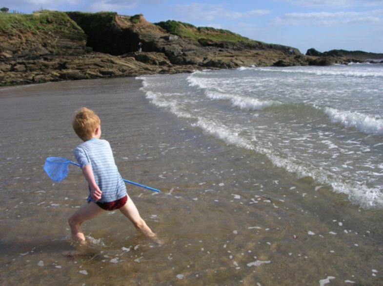 devon-2006