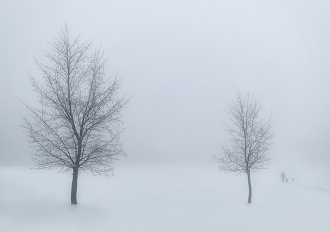 Fog In Winter