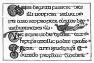 Irish writing of VIII century