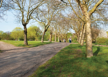 primrose-hill