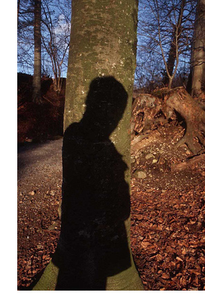 shadow