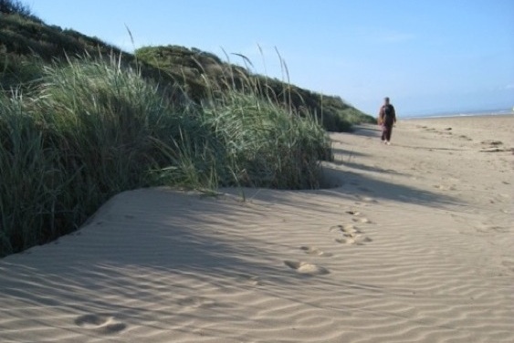 shore4