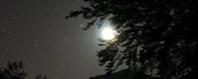 silent-night