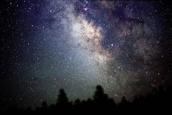 starlit-night