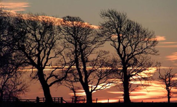sunrise
