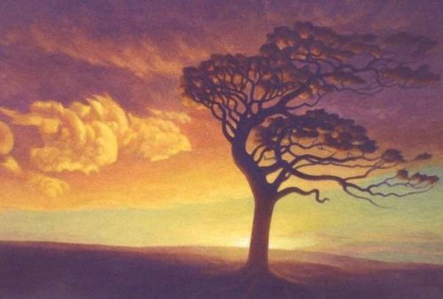 tree-bending-in-the-wind