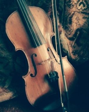 violin