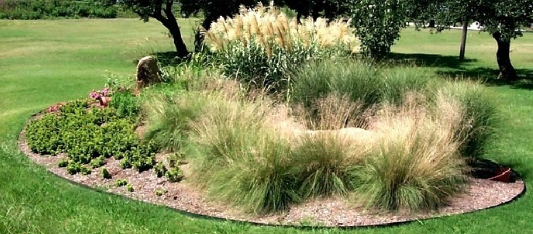 Ornamental grass bed