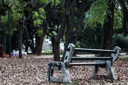 Empty bench