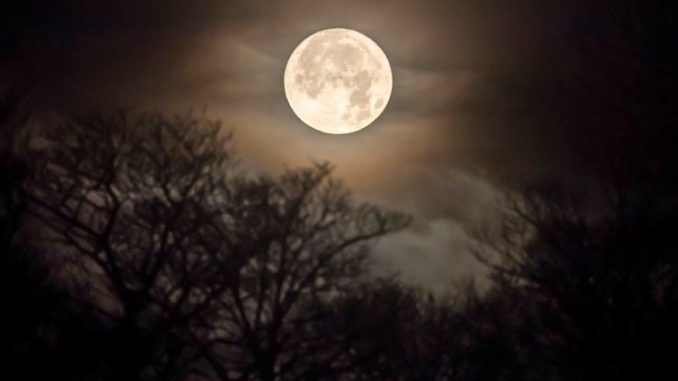 Moon