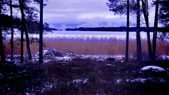 Miessaarenselkä, Gulf of Finland