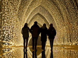 Blenheim Christmas Lights