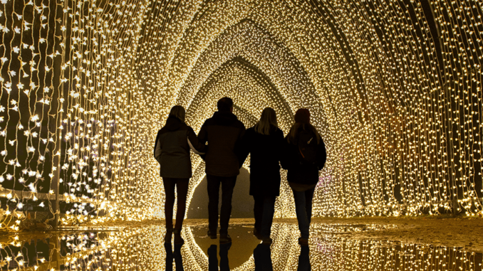 Blenheim Palace Lights Blenheim Christmas Lights